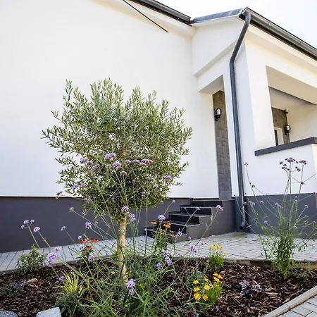 Vivien Вилла Sahy